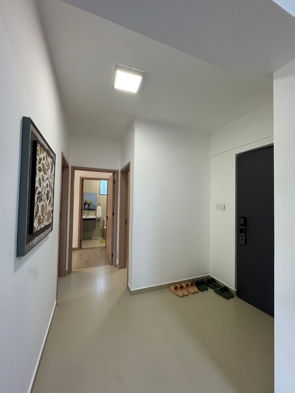 Modern apartment hallway with white walls, ceiling light, framed artwork, wooden doors, and shoes placed on light flooring